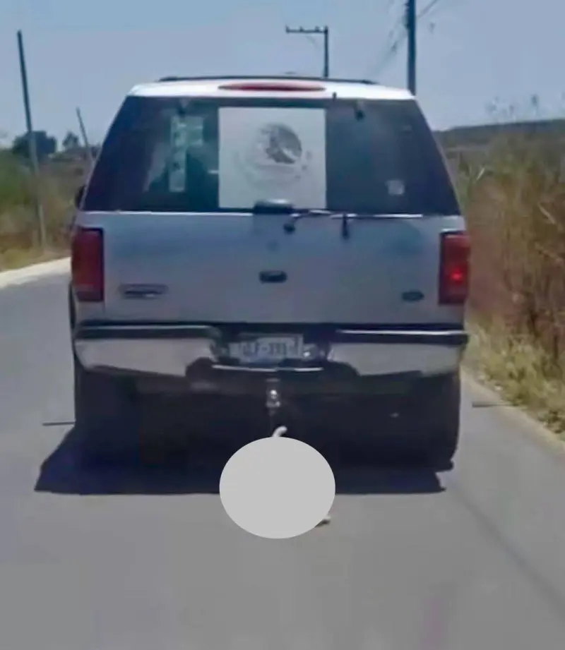 Autoridades de Querétaro llevan ante Fiscalía caso de perro arrastrado por vehículo