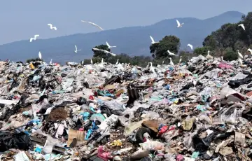 Busca Congreso de Michoacán frenar desperdicio industrial de residuos