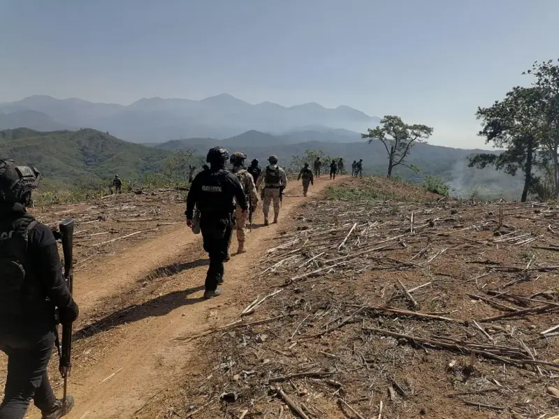 Hay despliegue operativo en sierra de Chilpancingo: Gobierno de Guerrero