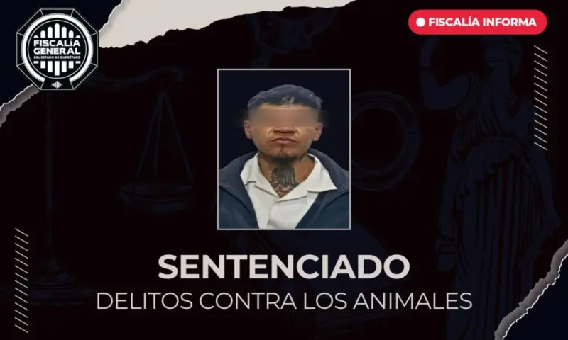 Lesionó a un canino con un objeto punzocortante