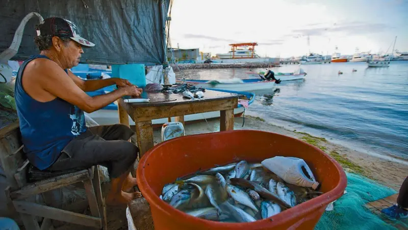 Genera Edomex más de 7 mil toneladas de pescado en Cuaresma