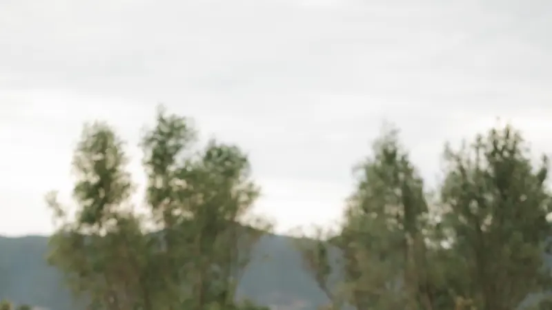 Daniel Nates llega a Olivea, el restaurante Michelin donde el huerto lo define todo