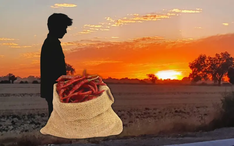 Detenido por robo de costales de chile