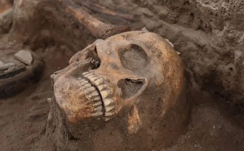 Han hallado diez osamentas prehispánicas en la ruta del tren México-Querétaro. 