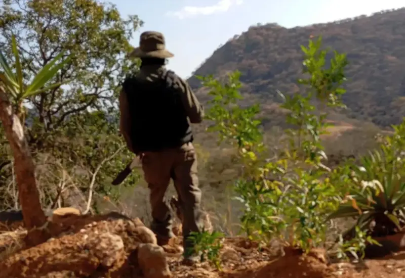 Localizan restos de al menos 20 personas en fosas y horno clandestino en Guanajuato