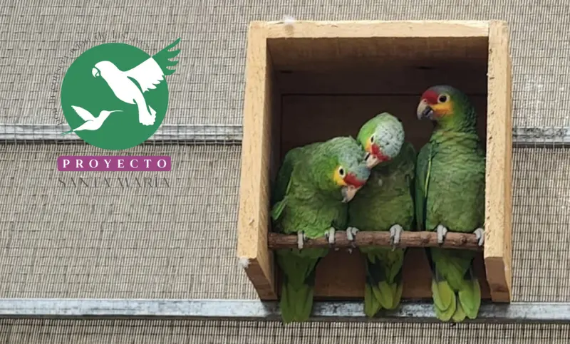 Recaudarán fondos para Proyecto Santa María