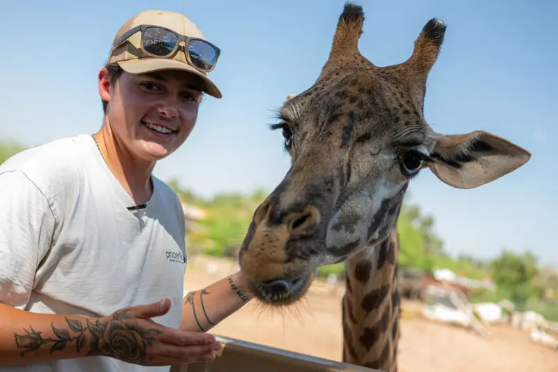 Zoológico de Phoenix: qué ver, actividades y eventos imperdibles en Arizona