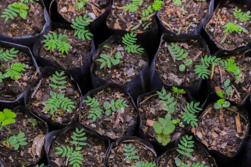 UAQ se consolida como referente de sustentabilidad en México