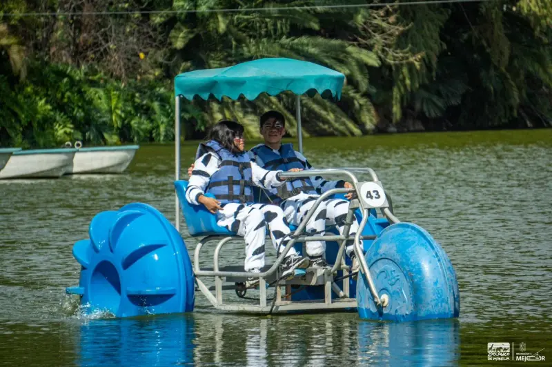 ¡Vive una aventura acuática en el Zoológico de Morelia!