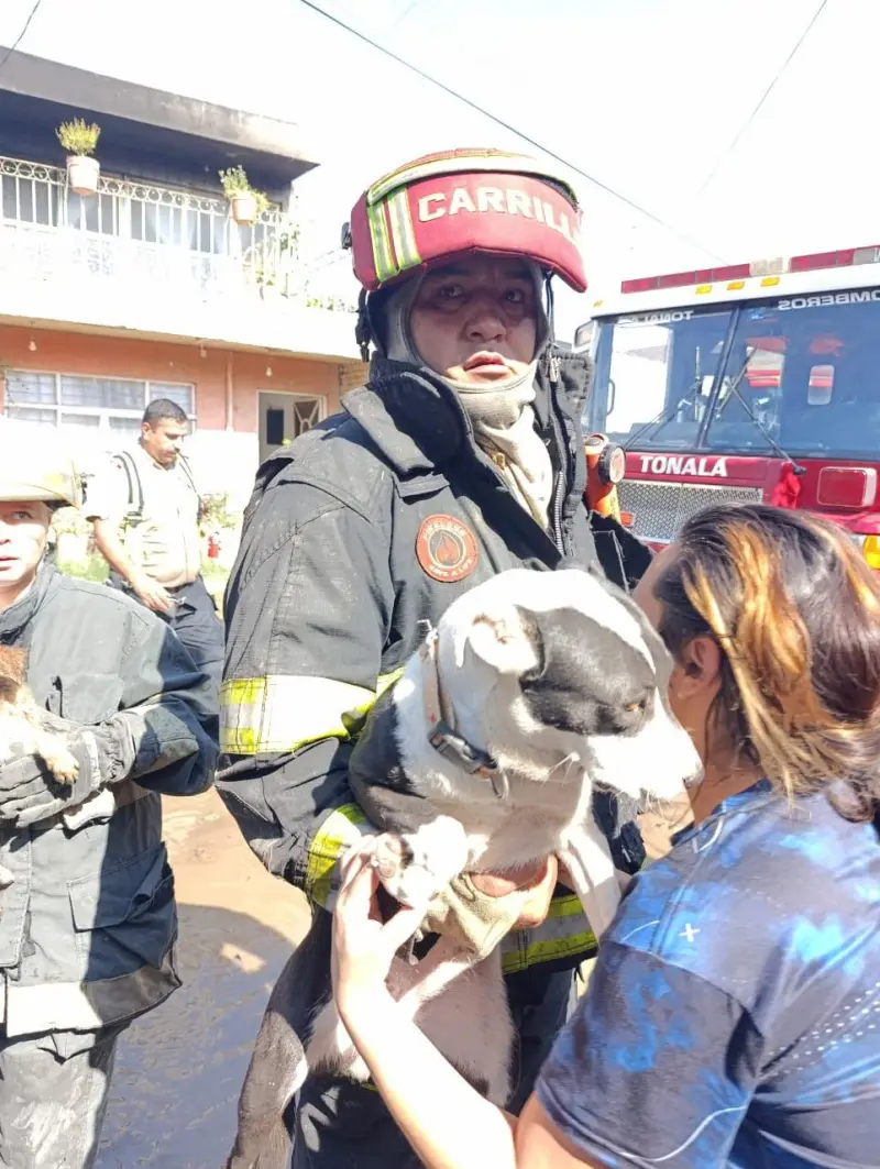 Rescatan a 5 perros de vivienda que ardía en llamas en Tonalá
