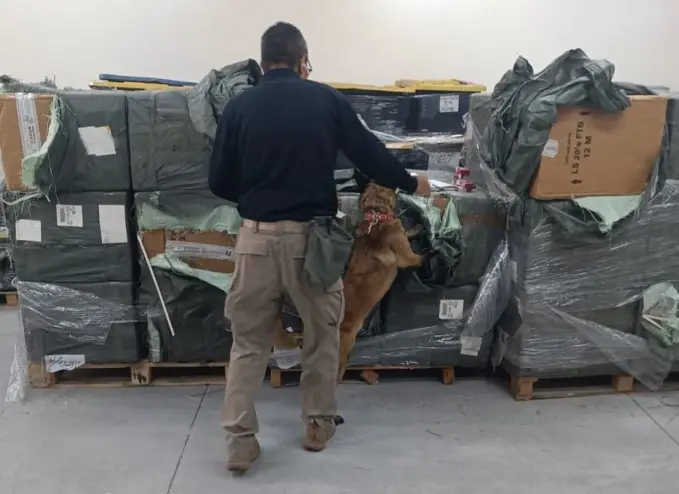 Marina y autoridades aduaneras confiscan cigarros irregulares en AICM