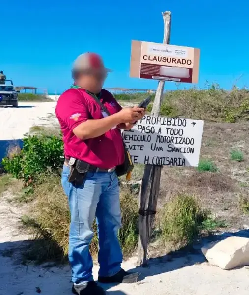 Por orden judicial, reforestarán en Sisal: deben sembrar más de 5 mil plantas