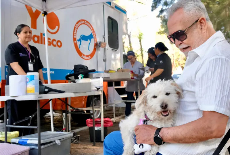 Refuerzan campaña gratuita de salud para mascotas; Van por un millón de vacunas antirrábicas
