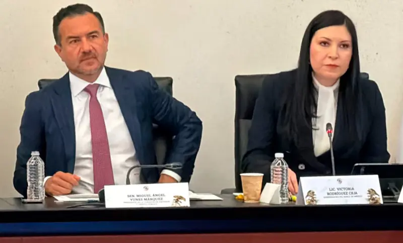 Sólidos, los fundamentos macrofinancieros para enfrentar retos: Banxico