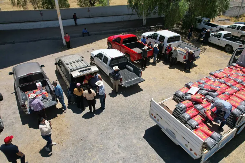 Purísima garantiza semilla certificada para fortalecer producción agrícola