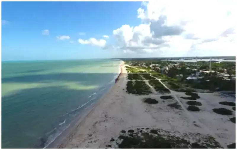 Responsables de tala ilegal de dunas en Sisal acuerdan reforestar la zona; será una labor de tres años