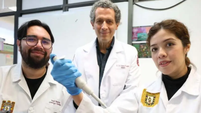 IPN avanza en la regeneración de huesos, cartílago y tejido muscular por medio de células madre