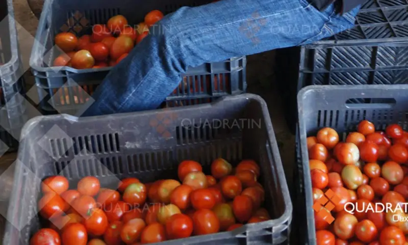 Oraciones a San Lázaro