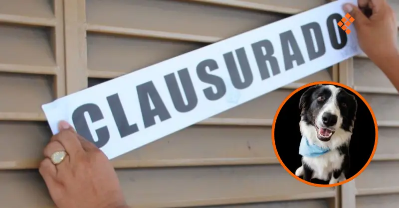 Clausuran Dogtainer en Juriquilla tras muerte de perrita