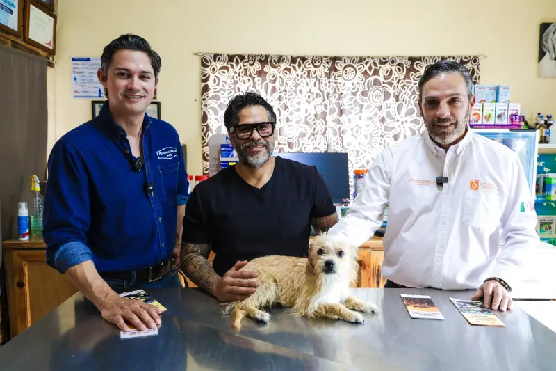 Lanza Nuevo León campaña de prevención del gusano barrenador en mascotas