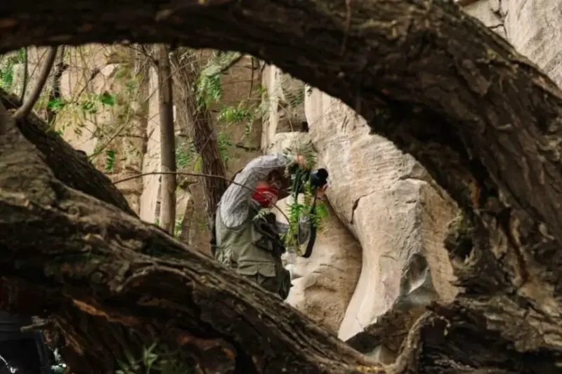 Hallan nuevos estilos de pinturas rupestres en obras del Tren México–Querétaro