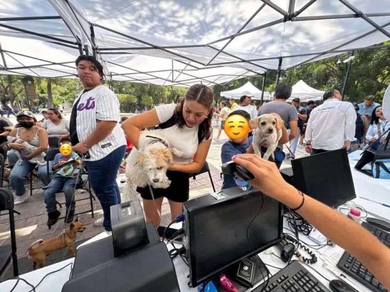 Brindan servicios integrales para mascotas y promueven registro en Qrobus