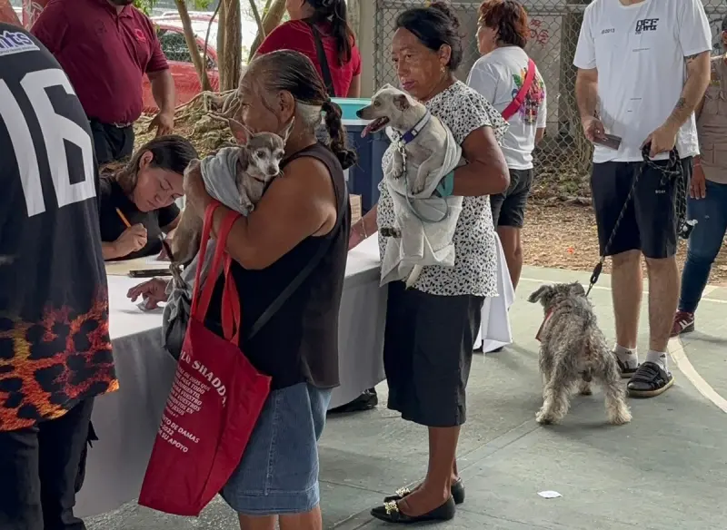 Continúan las jornadas de esterilización gratuita para mascotas en Cancún