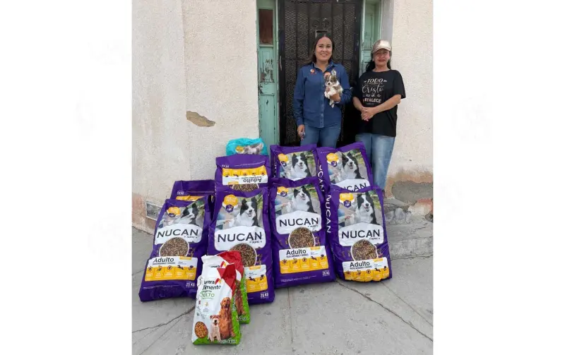 Entregan más de 4 toneladas de alimento a refugios tras carrera con mascotas