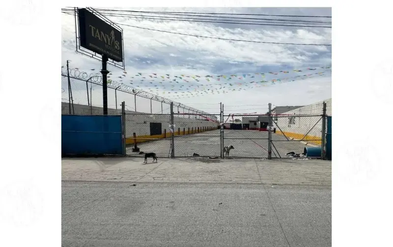 Acuden ministeriales al Tanyas en busca de evidencias de ataque; clausuran el bar