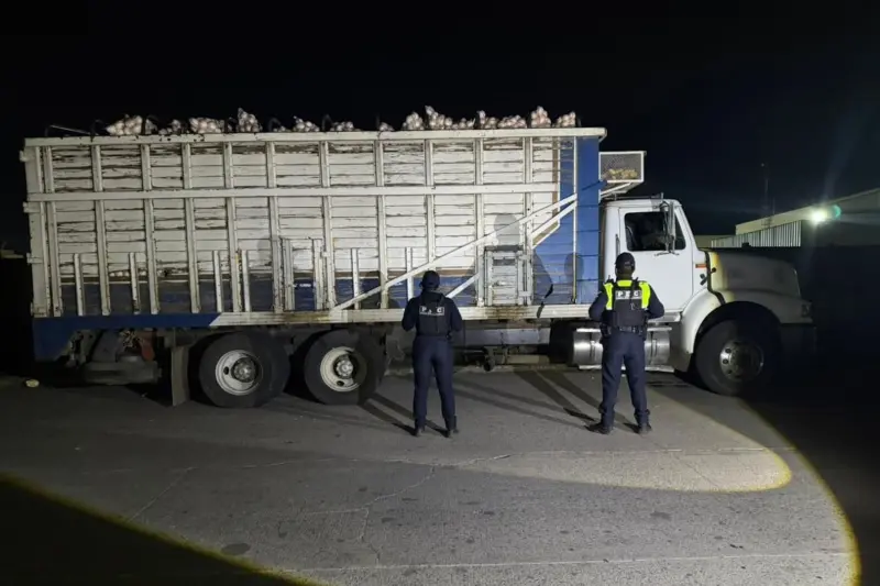 Recuperan un camión robado con 20 toneladas de cebolla valuadas en casi 500 mil pesos, una incautación que evita pérdidas al campo, en un estado donde ya se han asegurado mercancías por más de 176 millones de pesos