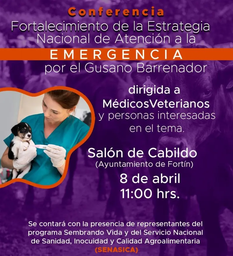Invitan a charla sobre gusano barrenador en Fortín