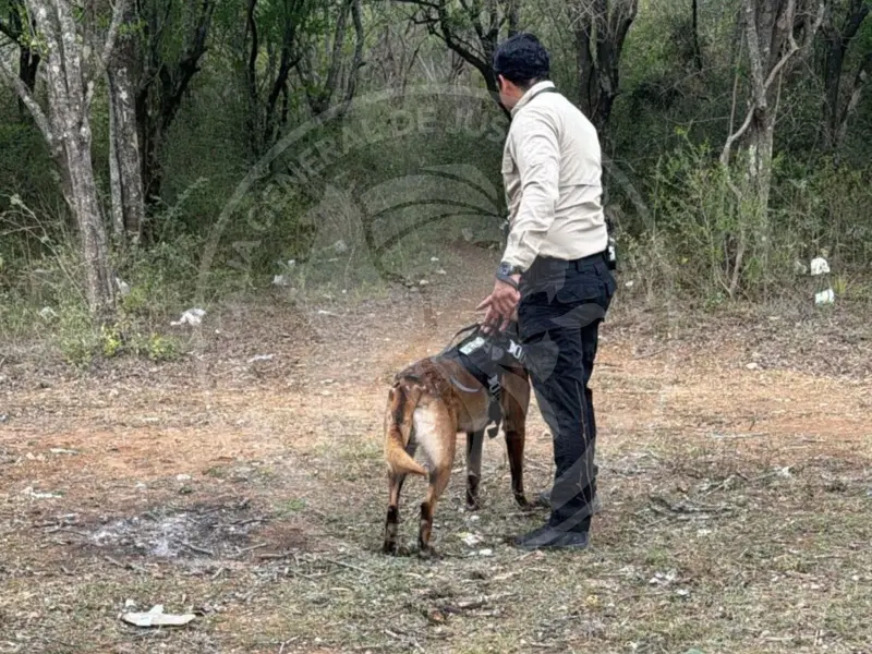 Operativo de búsqueda activo en Montemorelos, Hualahuises y Linares