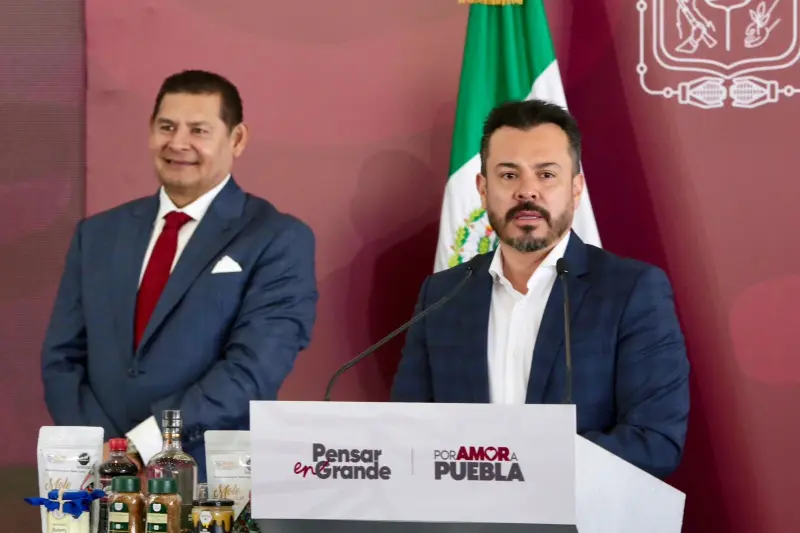 Trasplantarán 97 árboles por Cablebús; expertos advierten riesgo de supervivencia