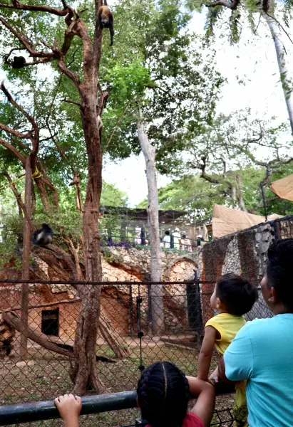 Visitantes llenan el Centenario