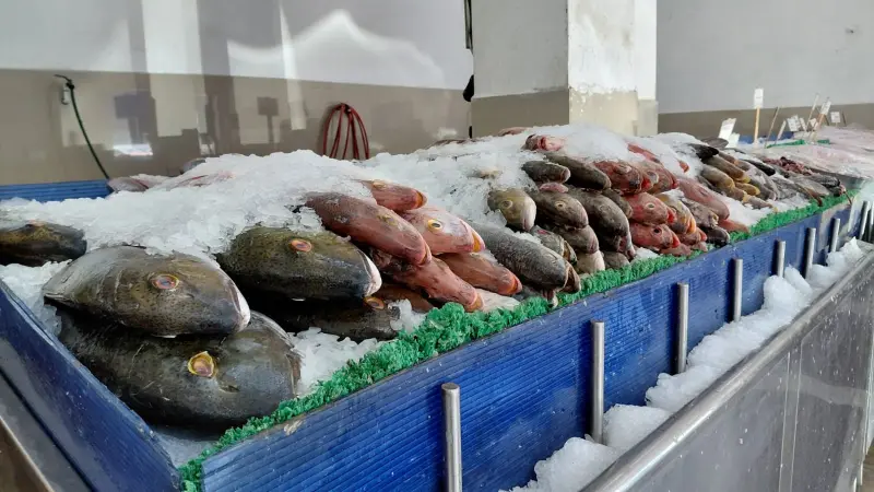 Refuerzan capacitación sanitaria por aumento en consumo de mariscos