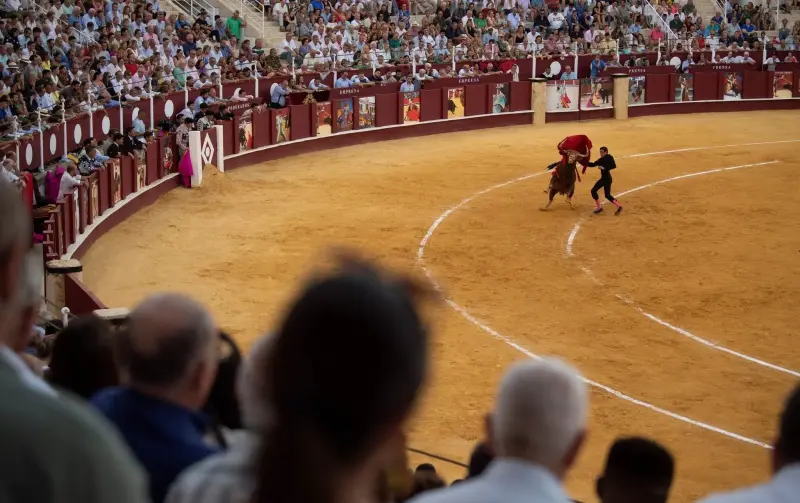 Un torero retirado muere tras ser embestido por un toro en Málaga