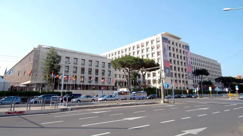 Precios de alimentos mundiales subirán si se prolonga la guerra en Irán, alerta la FAO