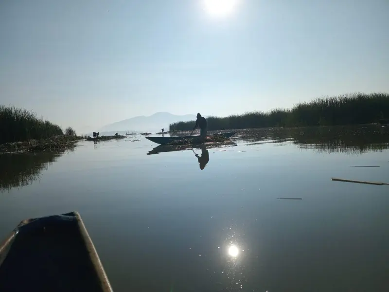 Lago de Pátzcuaro revive; descubren 18 manantiales en 2026