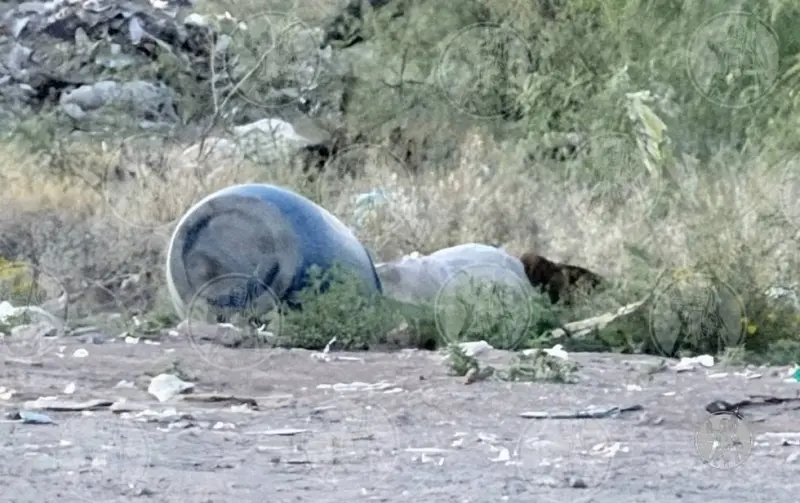 Localizan cadáver ‘entambado‘ en Jardines del Aeropuerto