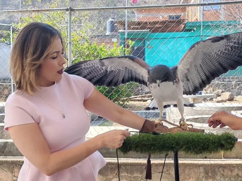 Impulsa Brissa Arroyo actividades por Día de la Niñez en el Zoológico