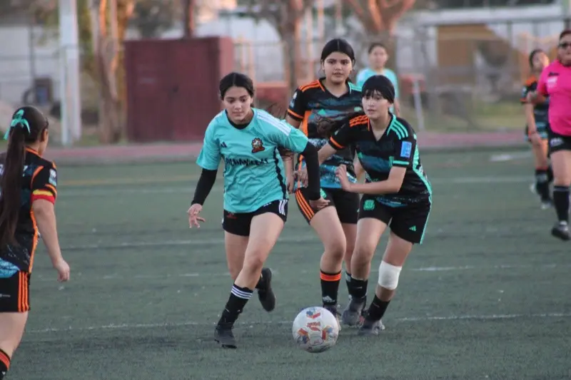 LUFF Sub 15 tendrá semifinales este fin de semana