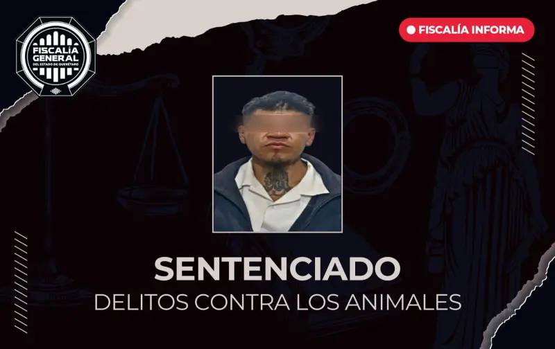 Sentenciado a 2 años de prisión por apuñalar a una perrita