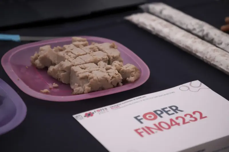 Revitaliza UAQ comercialización del frijol con un análogo de queso