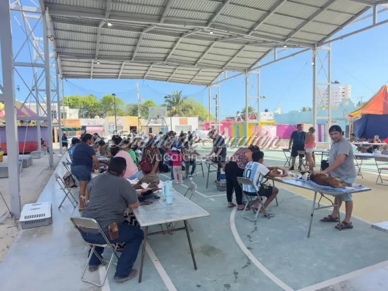 Realizan jornadas de esterilización en Progreso con más de 300 mascotas atendidas