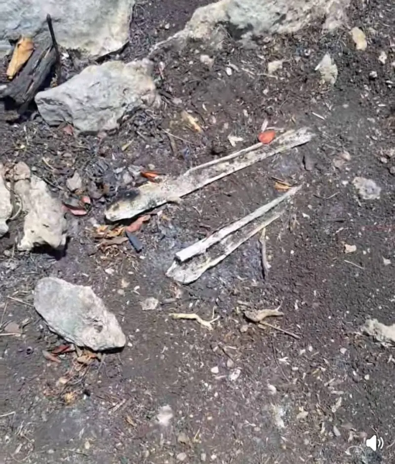 Colectivo de Madres buscadoras hallan restos humanos en Chiapas