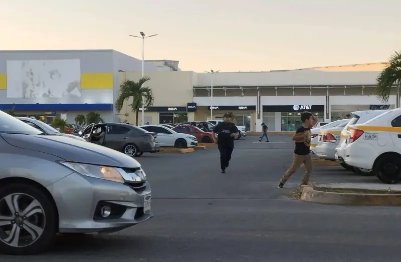 Enjambre de abejas ataca en plaza de Cancún