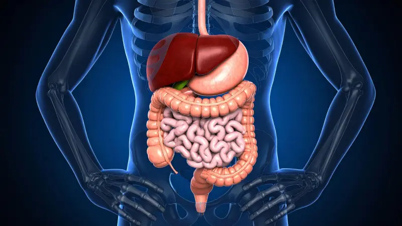 ¿Los refrescos light son peores que la cerveza? Esto es lo ideal para personas con hígado graso