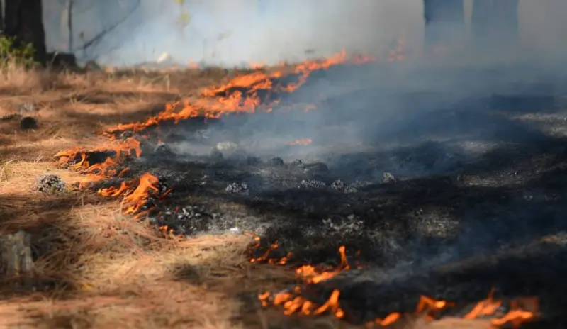 Prevén alto riesgo de incendios en NY y NJ este fin de semana