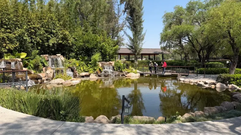 Parque Japonés: espacio de descanso y meditación en el Tangamanga I