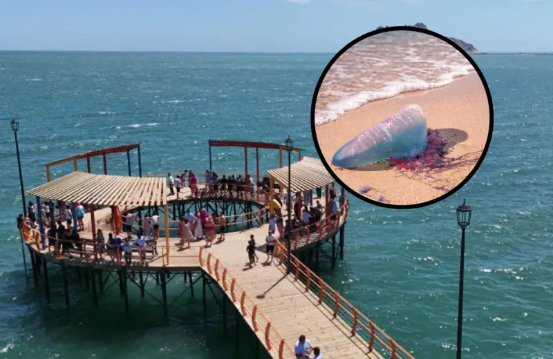 Quemaduras por “agua mala”, lo más atendido en Bahía de Kino